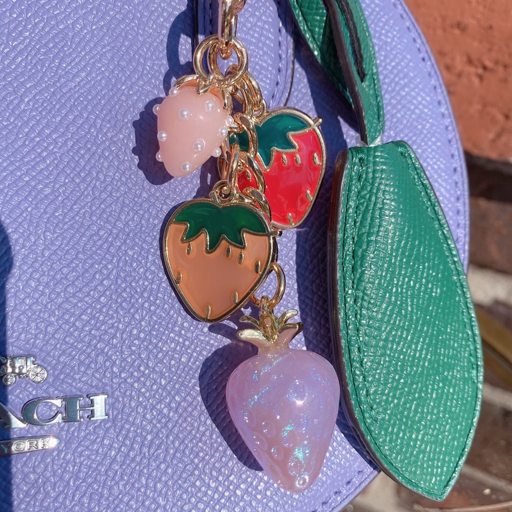 NWT Coach Blueberry Crossbody with Handmade Strawberry Cluster Bag Charm CR253 - Picture 2 of 9
